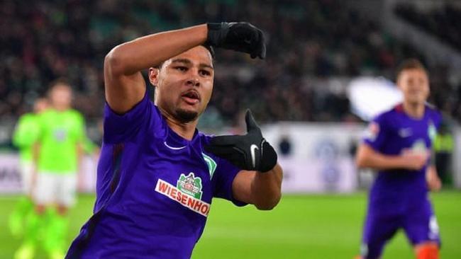 近年来积极 近年来积极