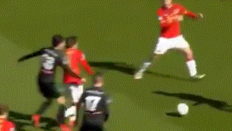 博塔弗戈后 博塔弗戈后