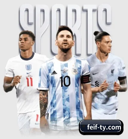 五大服务分区,信息按项目分类 - 多运动项目内容板块 - feifan sports