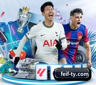 我们在做什么 | feifan sports